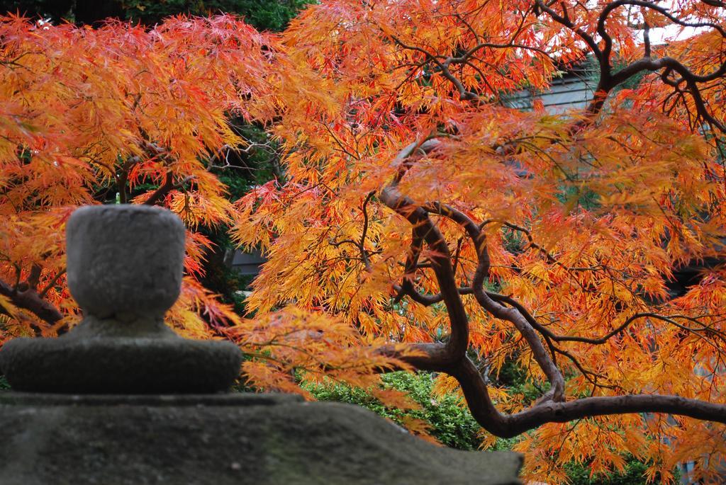 Nishiki-No-Yu Jimotoya Otel Matsumoto Dış mekan fotoğraf
